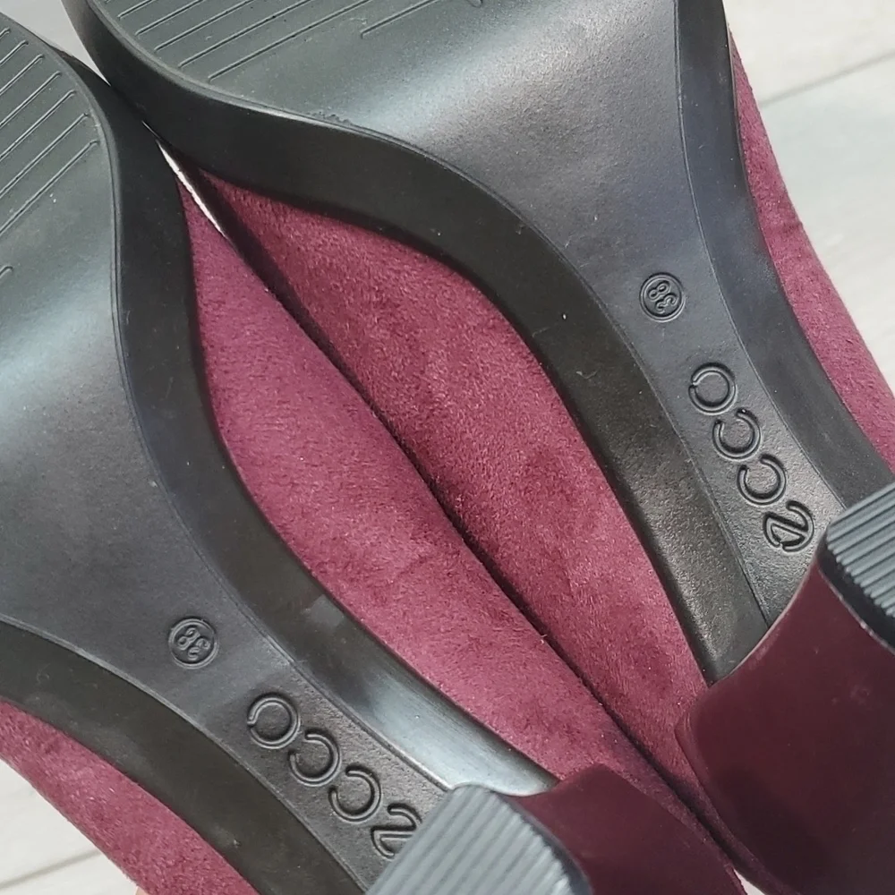 Ecco new p4